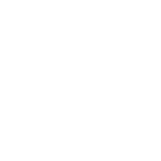 Hotel Zeppelin logo