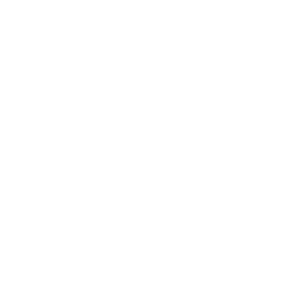 Hotel Zoe logo